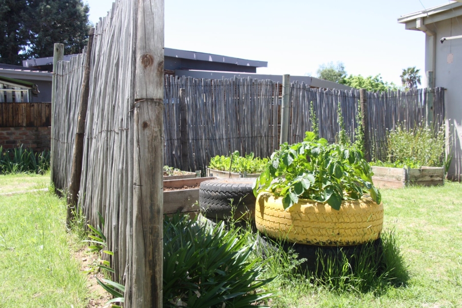 3 Bedroom Property for Sale in Dewetsdorp Free State